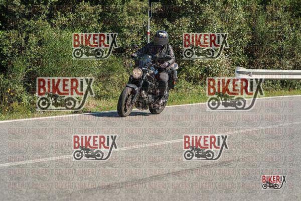 Val di Cecina 18-04-26 h10-44 0037