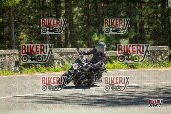 Passo del Muraglione 01-05-26 h14-43 1642