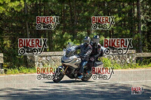Passo del Muraglione 01-05-26 h15-10 1759