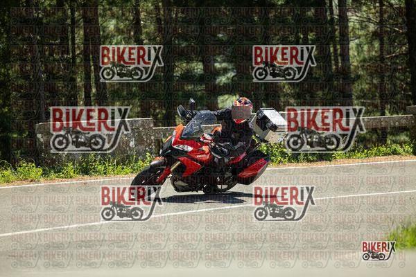Passo del Muraglione 02-05-26 h13-17 1181