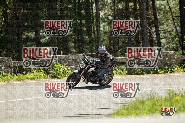 Passo del Muraglione 02-05-26 h13-48 1375
