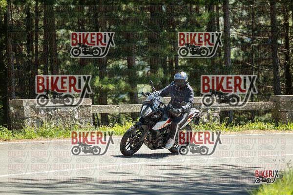 Passo del Muraglione 02-05-26 h14-39 1740