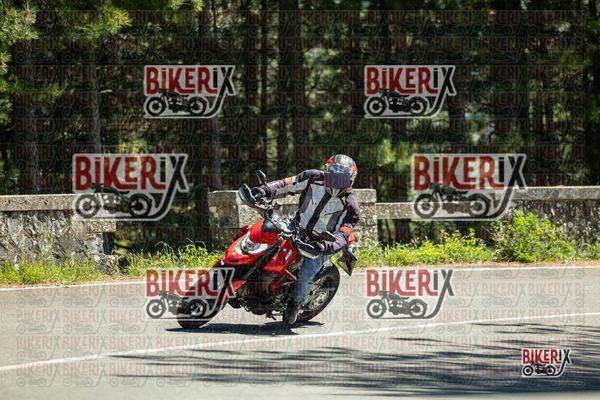 Passo del Muraglione 02-05-26 h14-42 1758