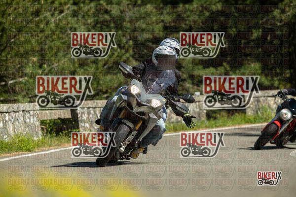 Passo del Muraglione 02-05-26 h15-40 2142