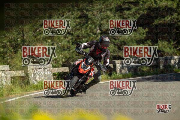 Passo del Muraglione 02-05-26 h16-22 2385