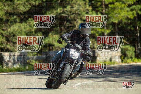 Passo del Muraglione 02-05-26 h16-31 2442