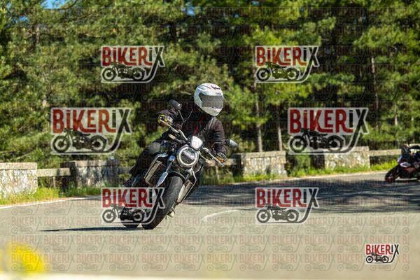 Passo del Muraglione 02-05-26 h16-31 2446