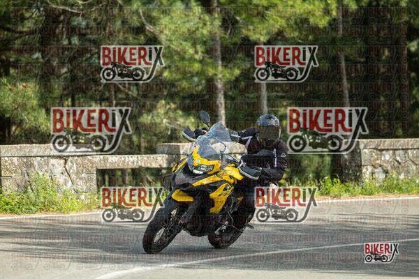 Passo del Muraglione 03-05-26 h15-48 2462