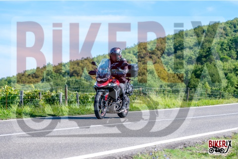 Chianti 07-09-25 h10-41 0395