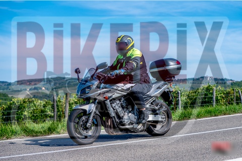 Chianti 07-09-25 h11-02 0664