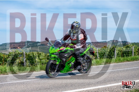 Chianti 07-09-25 h12-06 1678