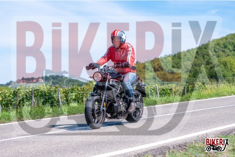 Chianti 07-09-25 h12-18 1781