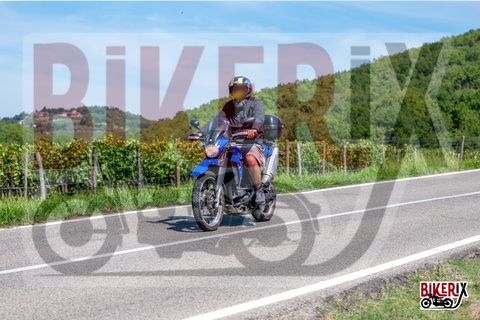 Chianti 07-09-25 h13-23 2268