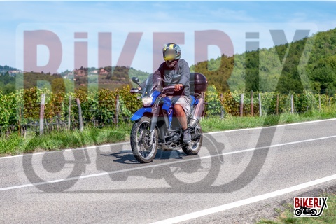 Chianti 07-09-25 h13-23 2269