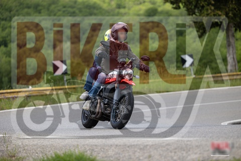 Chianti 11-05-25 h11-56 0265