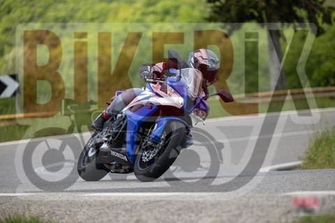 Chianti 11-05-25 h12-07 0423