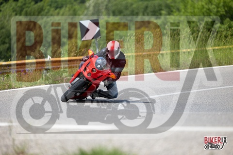 Chianti 11-05-25 h12-12 0521