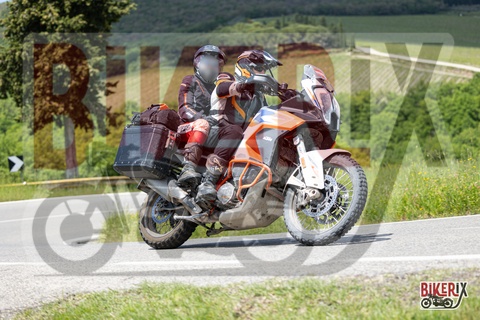 Chianti 11-05-25 h12-47 0794