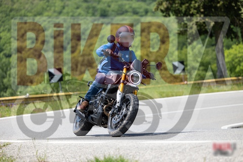 Chianti 11-05-25 h13-45 1071