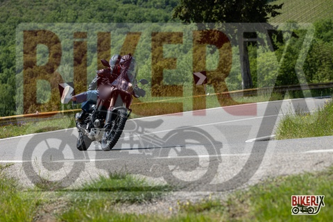 Chianti 11-05-25 h14-17 1165