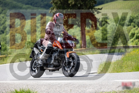 Chianti 11-05-25 h15-03 1366