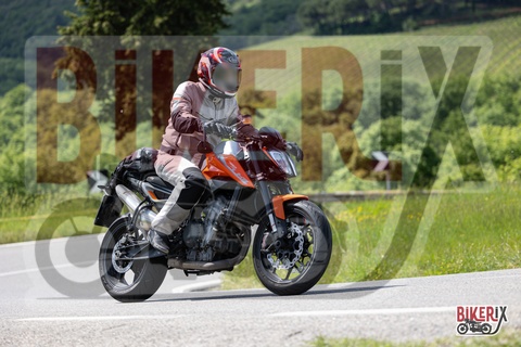 Chianti 11-05-25 h15-03 1367
