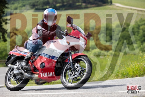 Chianti 11-05-25 h15-32 1581
