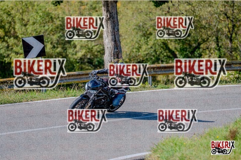 Chianti 12-10-25 h13-34 2437