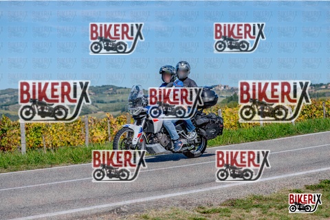 Chianti 12-10-25 h13-37 2464