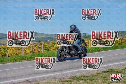 Chianti 12-10-25 h13-37 2469