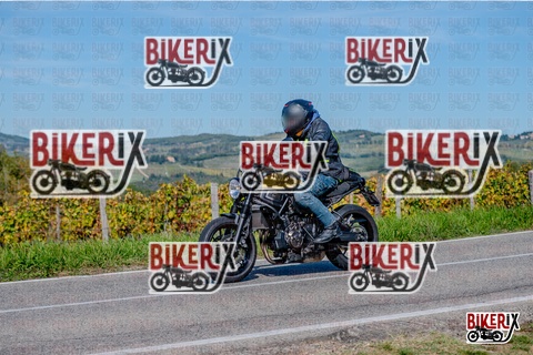 Chianti 12-10-25 h13-37 2471