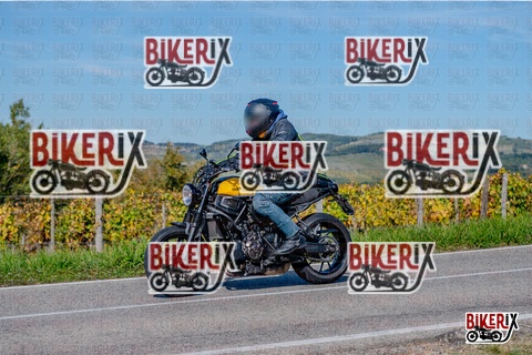 Chianti 12-10-25 h13-37 2472