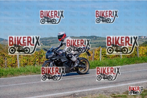 Chianti 12-10-25 h13-39 2481