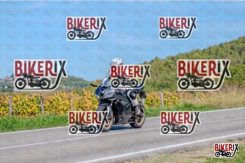 Chianti 12-10-25 h13-43 2519