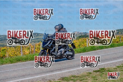 Chianti 12-10-25 h14-00 2572