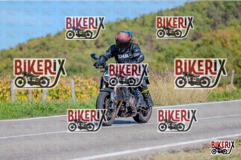 Chianti 12-10-25 h14-02 2578