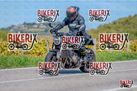 Chianti 12-10-25 h14-02 2579