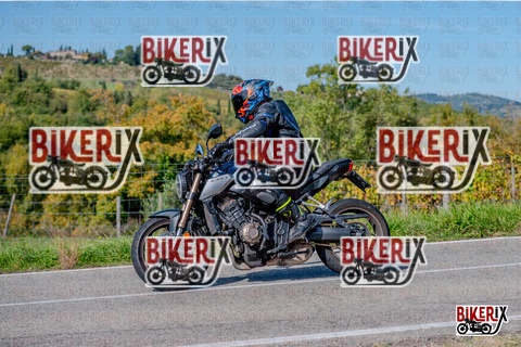 Chianti 12-10-25 h14-02 2584