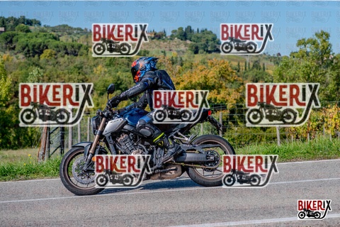 Chianti 12-10-25 h14-02 2585