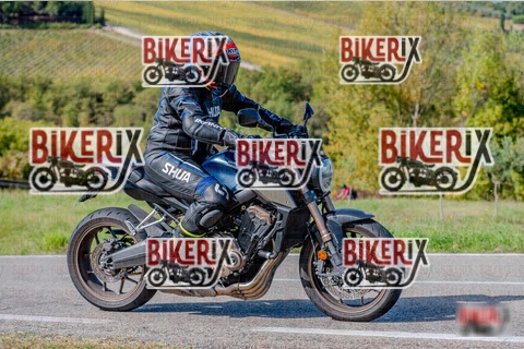 Chianti 12-10-25 h14-03 2596