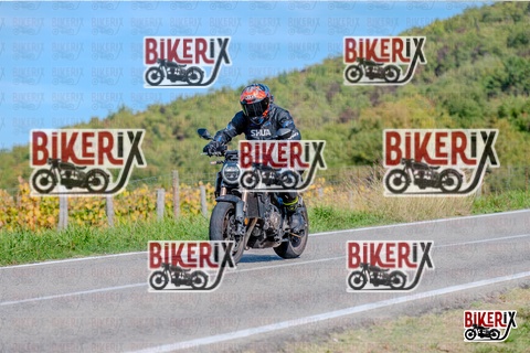 Chianti 12-10-25 h14-04 2602