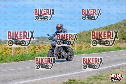 Chianti 12-10-25 h14-04 2603