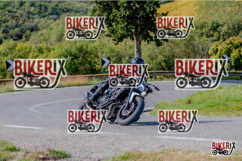 Chianti 12-10-25 h14-05 2619