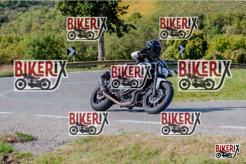 Chianti 12-10-25 h14-05 2620