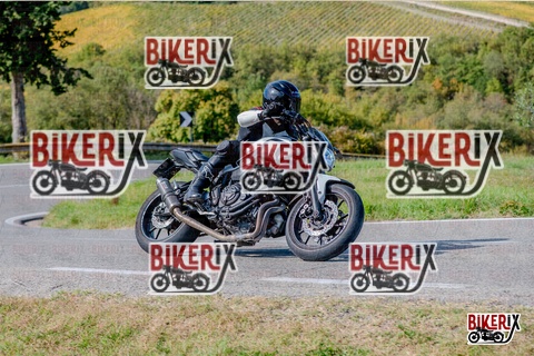 Chianti 12-10-25 h14-05 2621