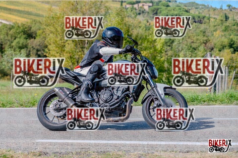 Chianti 12-10-25 h14-05 2623