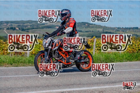 Chianti 12-10-25 h14-11 2656