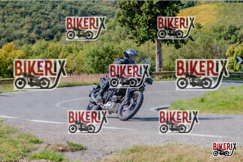 Chianti 12-10-25 h14-11 2675