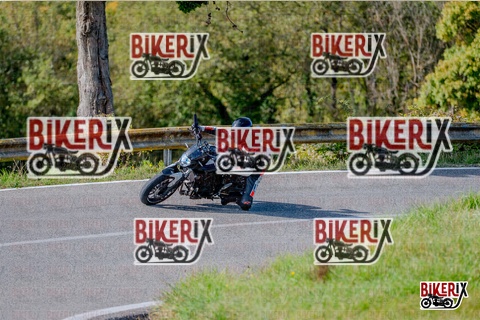 Chianti 12-10-25 h14-12 2680