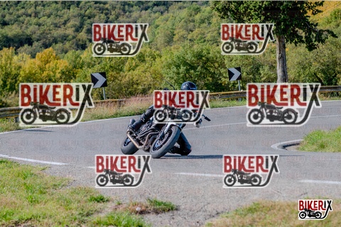 Chianti 12-10-25 h14-12 2685